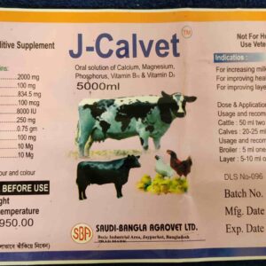 J Calvet